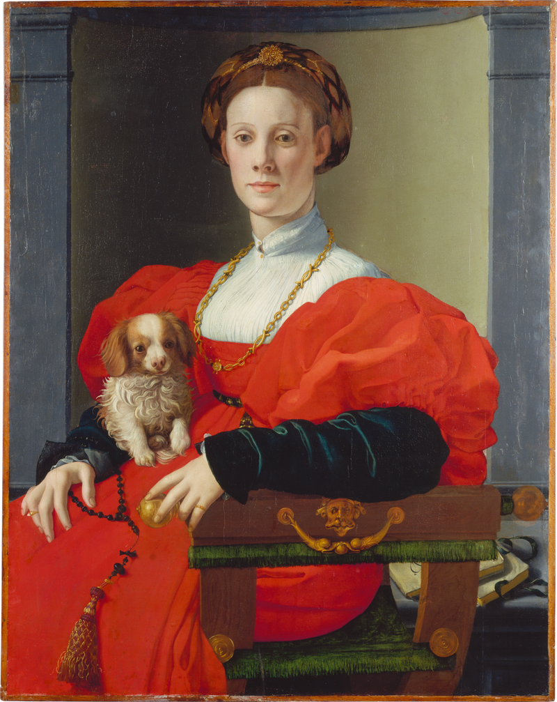 Porträt einer Dame mit einem Haustierhund - Bronzino