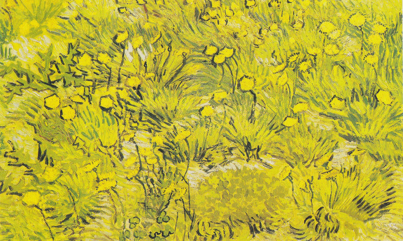 Wiese mit gelben Blumen - Vincent van Gogh