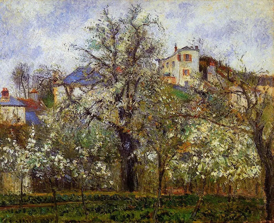 Frühling. Blühende Pflaumenbäume - Camille Pissarro