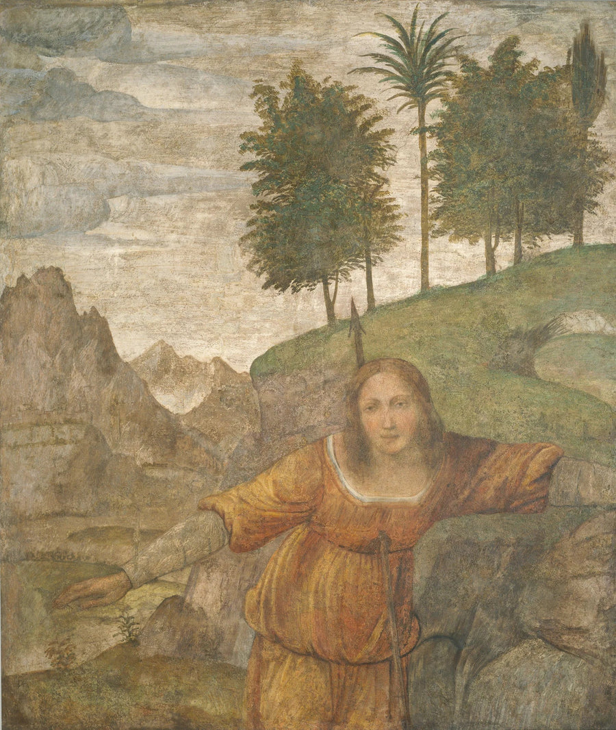 Procris durch den Speer von Céphale durchbohrt - Bernardino Luini