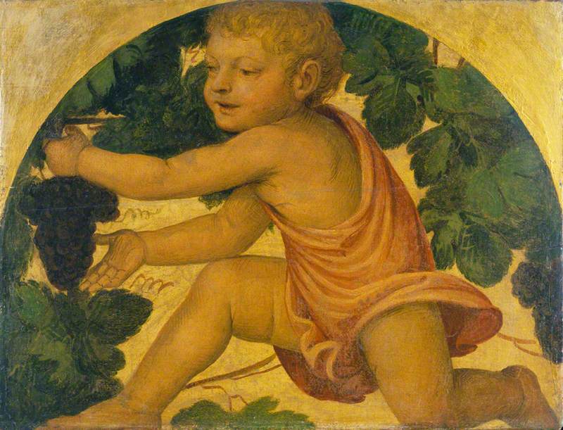 Putto, der Trauben pflückt - Bernardino Luini