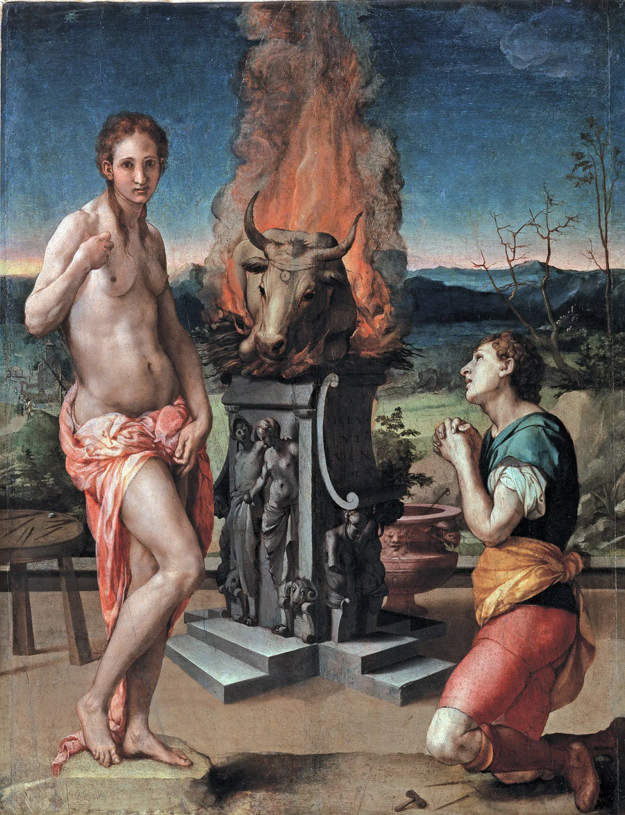 Pygmalion und Galatea - Bronzino
