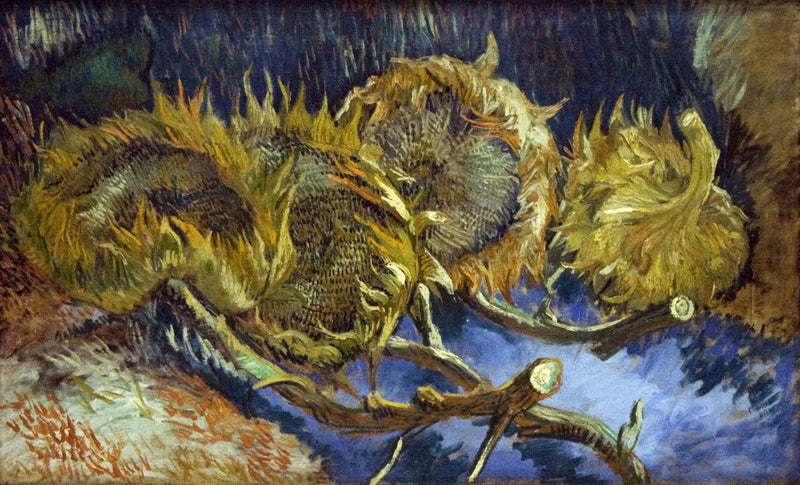 Vier verwelkte Sonnenblumen - Vincent van Gogh