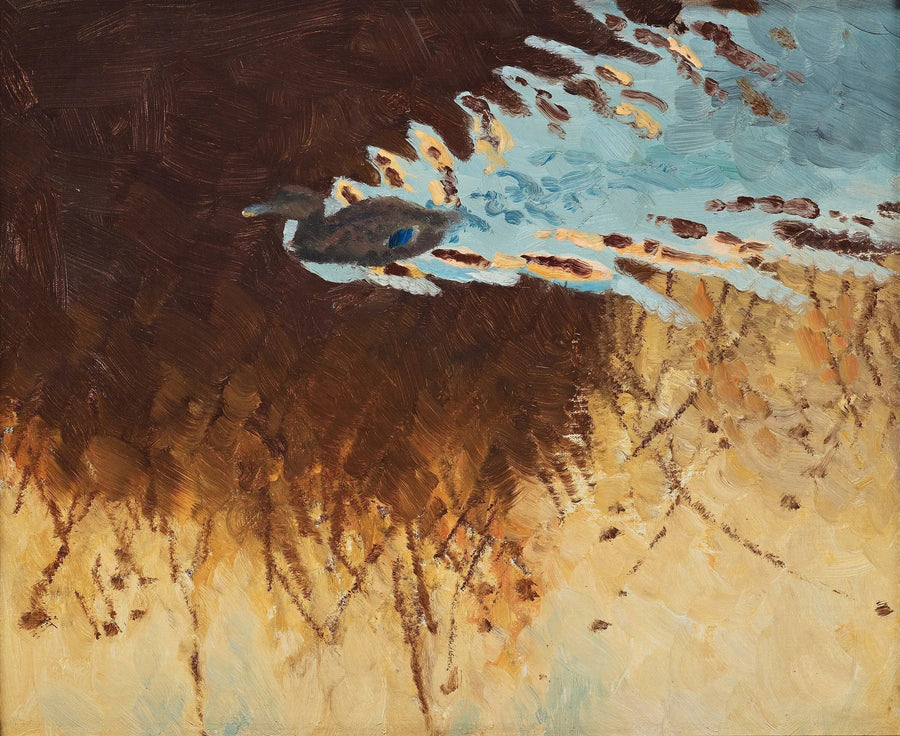 Spiegelungen von Enten und Wasser - Bruno Liljefors