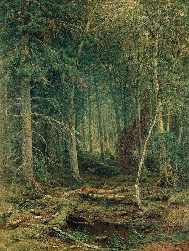 Unerschlossene Waldregion - Ivan Chichkine