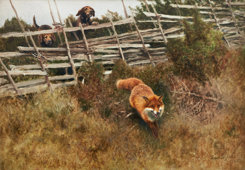 Fuchs wird von Hunden gejagt - Bruno Liljefors