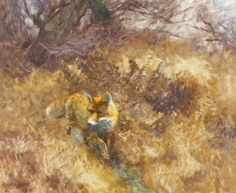 Fuchs in einer Herbstlandschaft - Bruno Liljefors