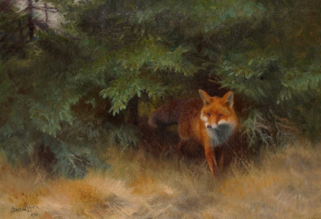 Fuchs in einer Waldlandschaft - Bruno Liljefors