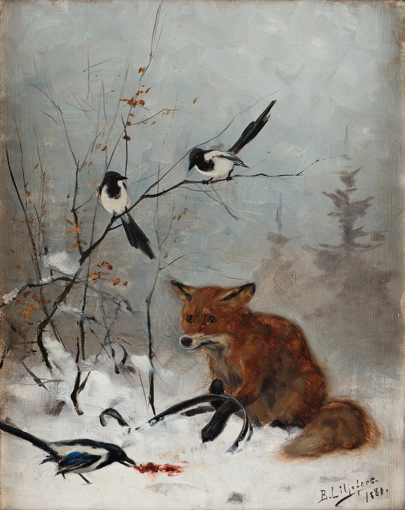 Fuchs in Kieferfalle gefangen - Bruno Liljefors