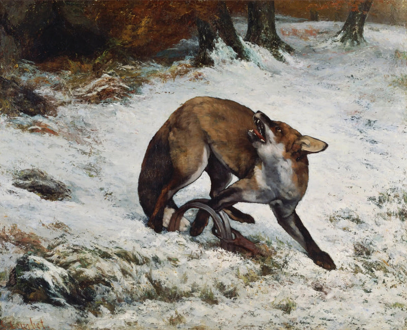 Fuchs in einer Falle - Gustave Courbet