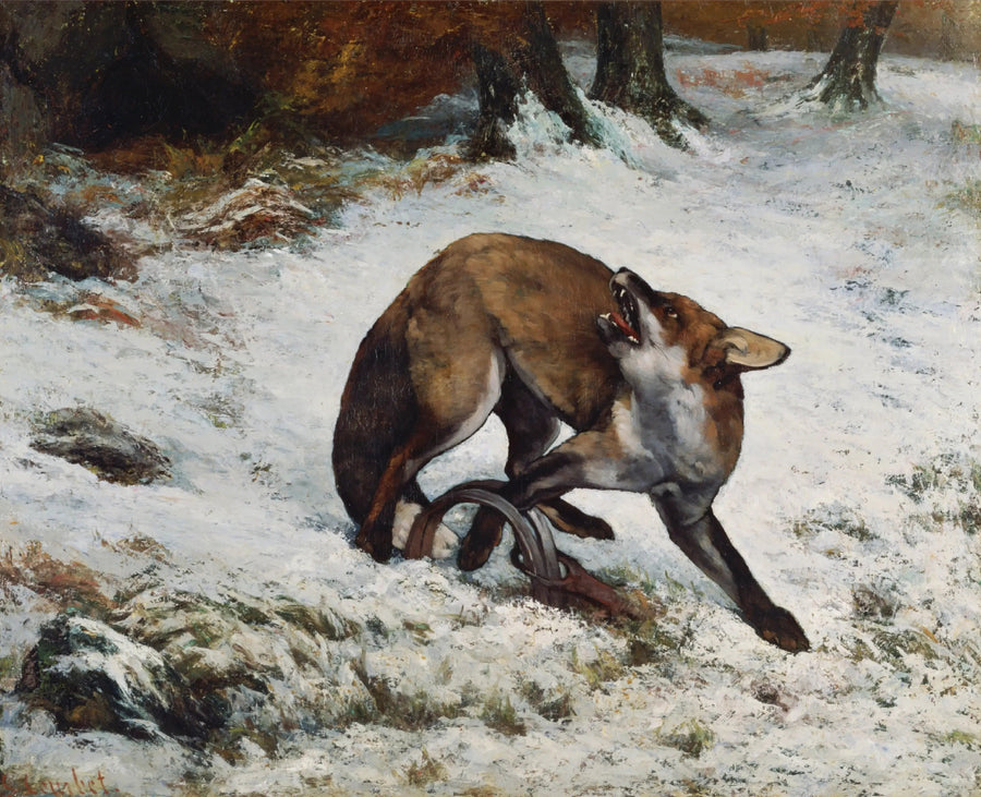 Fuchs in einer Falle - Gustave Courbet