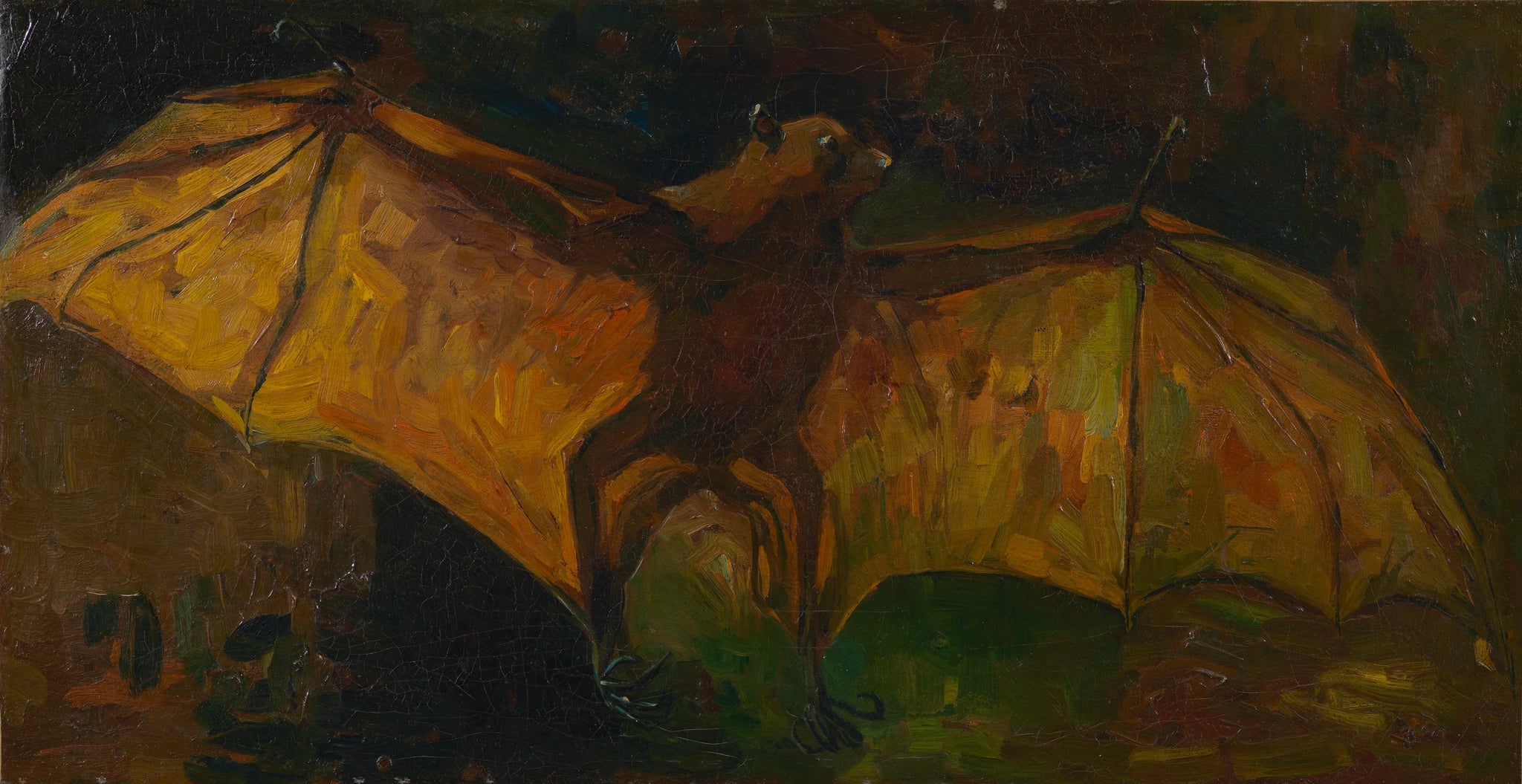 Renard volant F177a — chauve-souris naturalisée aux ailes déployées peinte par Vincent van Gogh