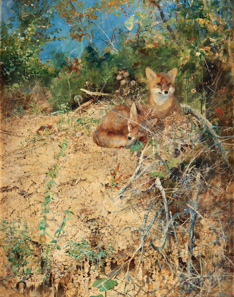 Füchse - Bruno Liljefors