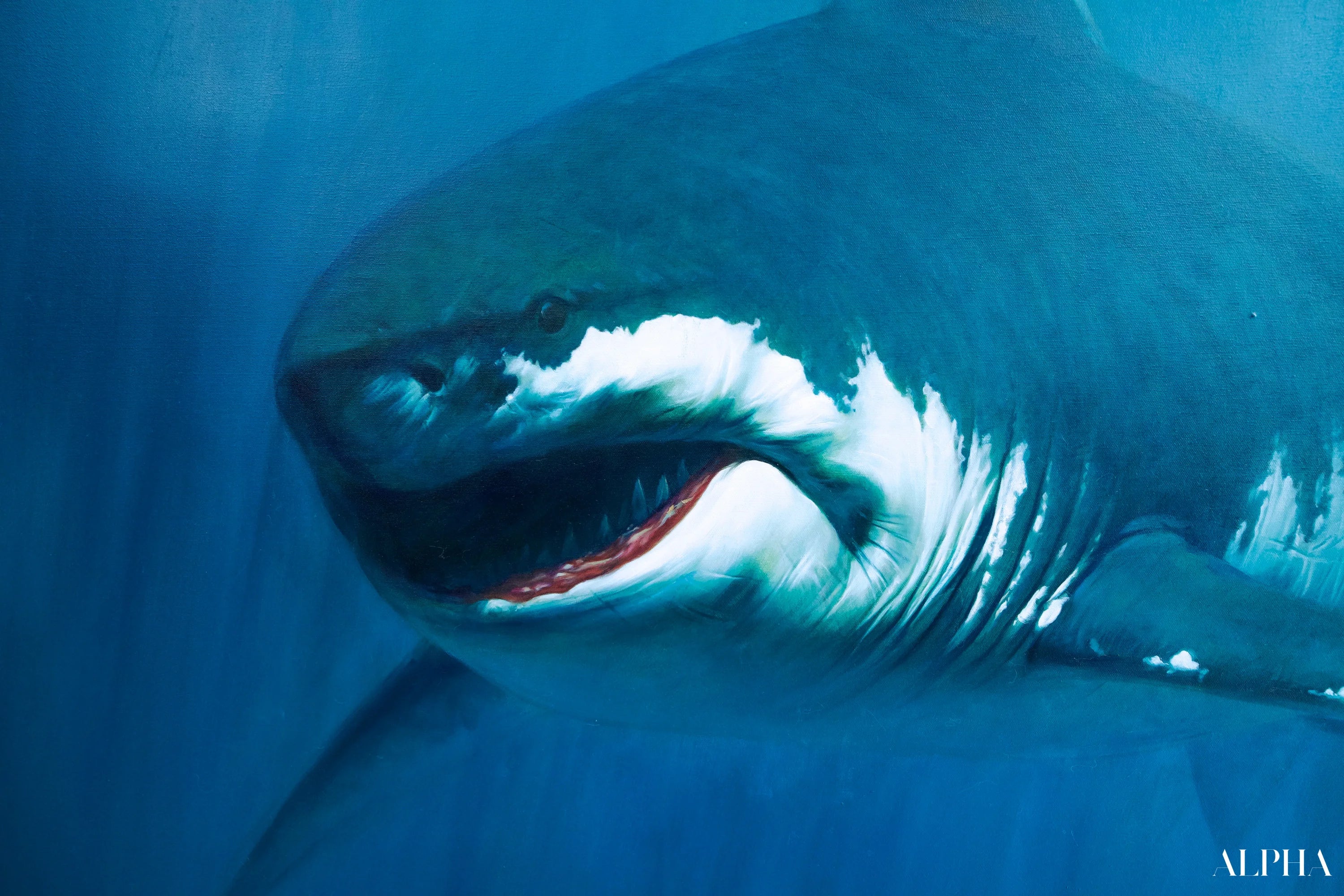 Requin | 150 x 200 cm Reproductions de tableaux à la peinture à l’huile