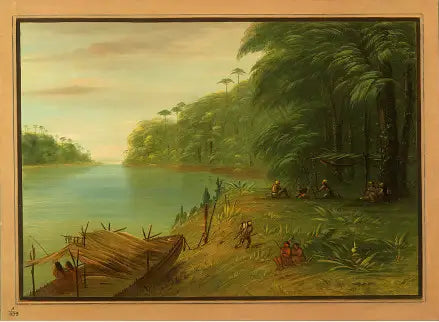 Ufer des Essequibo - George Catlin