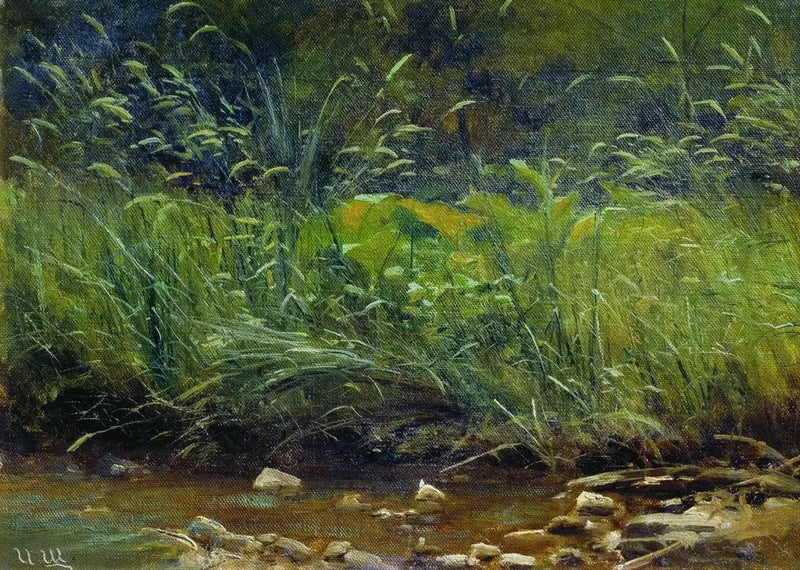 Ufer des Teiches - Ivan Chichkine