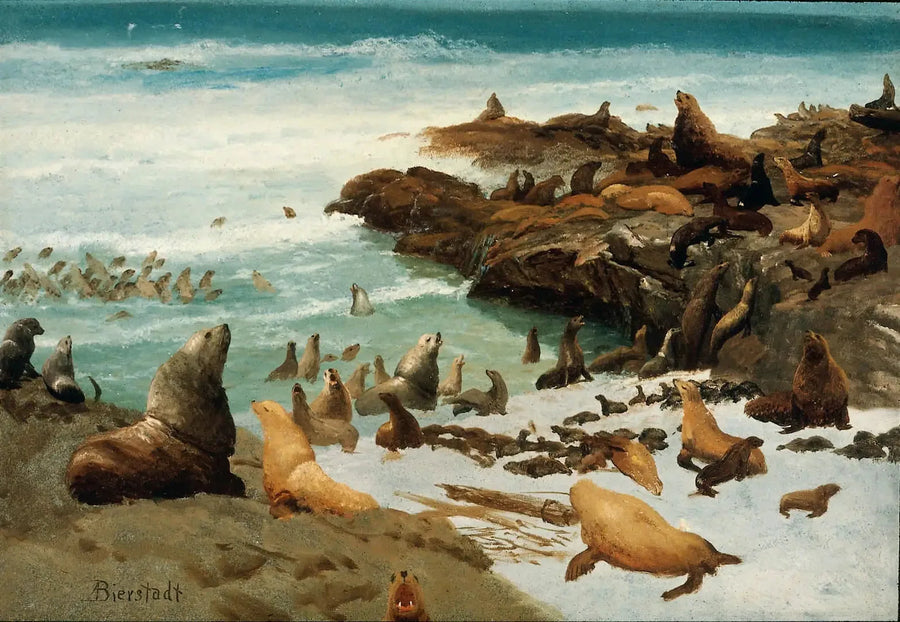 Felsen der Robben, Farallons - Albert Bierstadt
