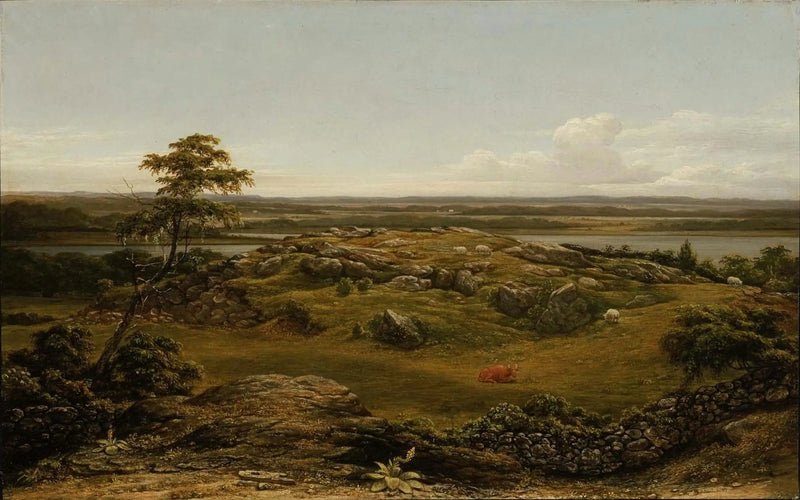 Felsen in Neuengland - Martin Johnson Heade
