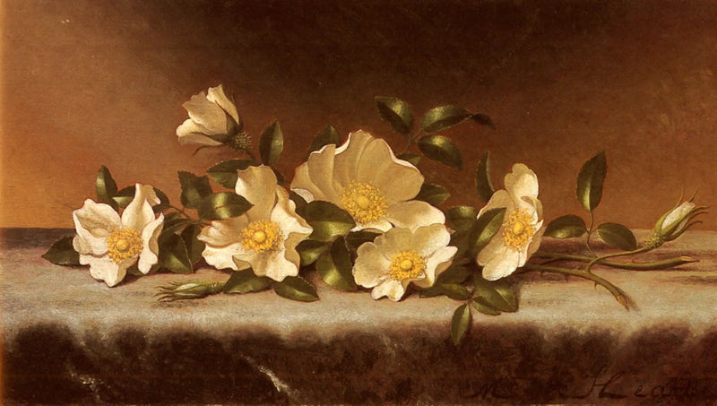 Rosen Cherokee auf hellgrauem Stoff - Martin Johnson Heade