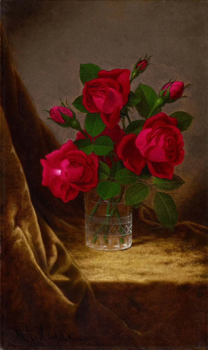 Rosen Jacqueminot - Martin Johnson Heade