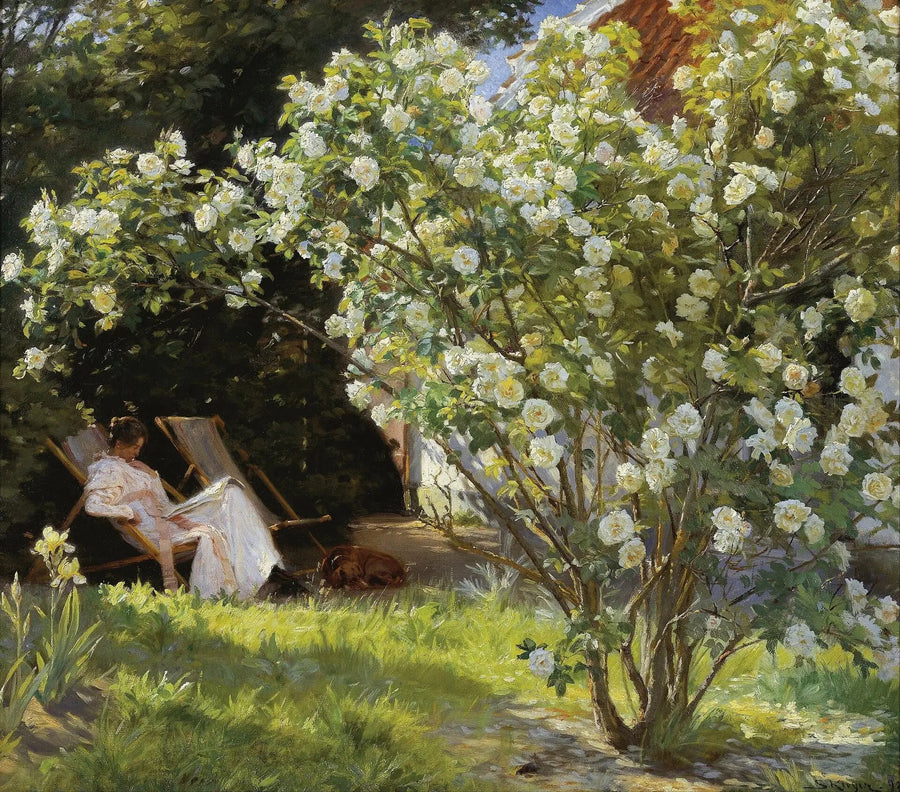Rosen - Peder Severin Krøyer