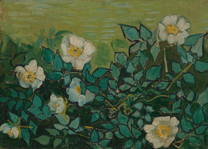 Wilde Rosen - Vincent van Gogh