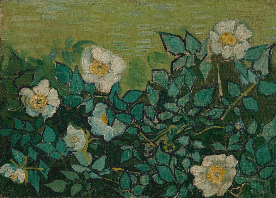 Wilde Rosen - Vincent van Gogh