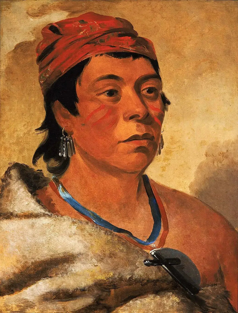 Round Island, ein Krieger - George Catlin