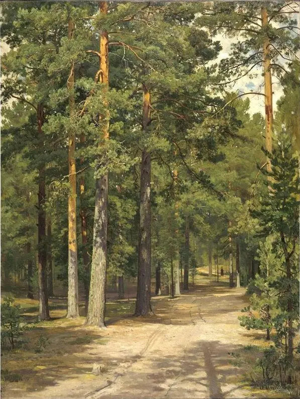 Route im Pinienwald - Ivan Chichkine