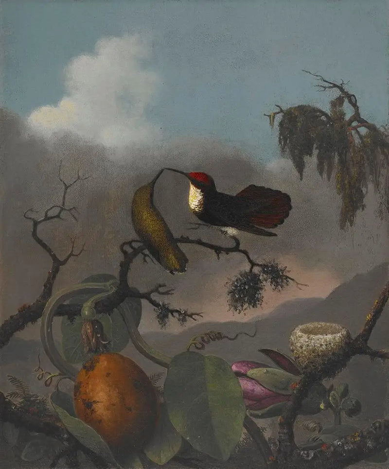 Rubin-Topas - Martin Johnson Heade