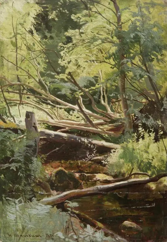 Bach im Wald - Ivan Chichkine