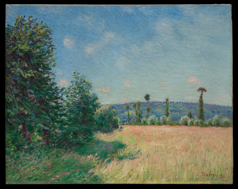 Sahurs Meadows in Morning Sun - Alfred Sisley