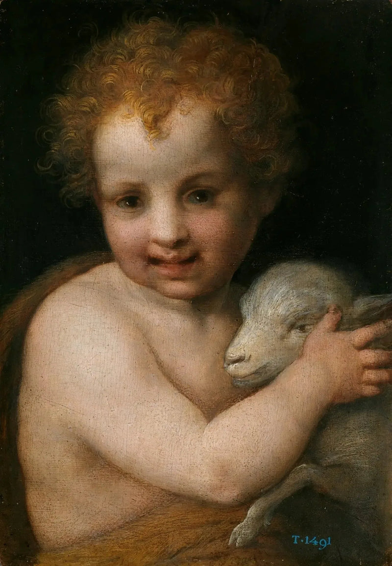 Johannes der Täufer mit dem Lamm - Andrea del Sarto