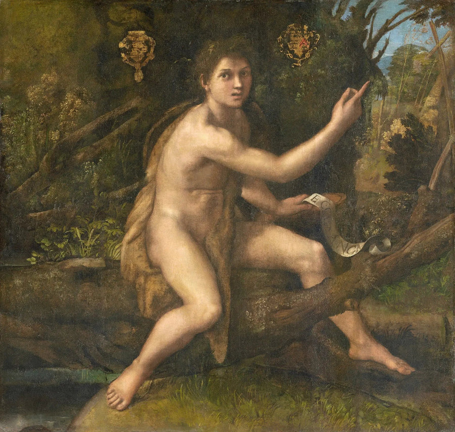 Johannes der Täufer in der Wüste, der das Kreuz der Passion zeigt - Raphael Sanzio