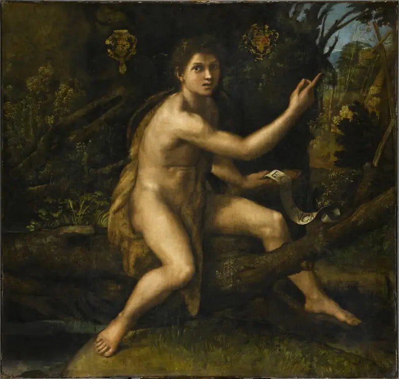 Johannes der Täufer in der Wüste - Raphael Sanzio