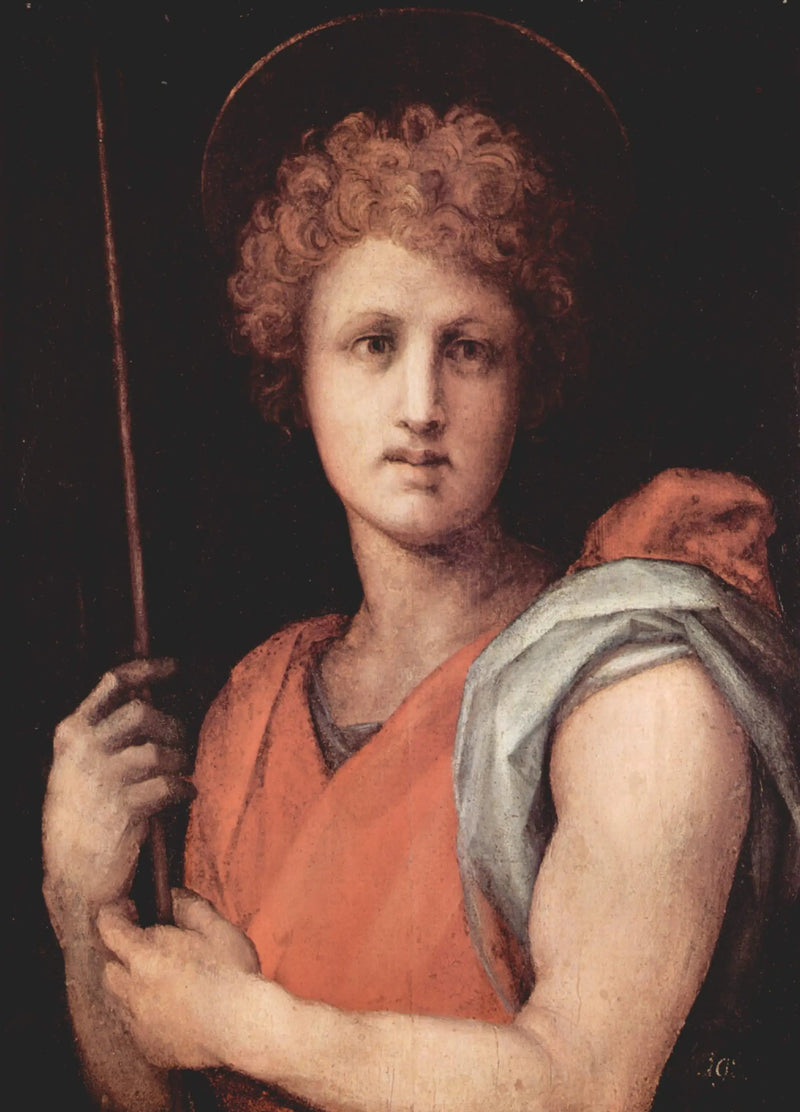 Johannes der Täufer - Pontormo