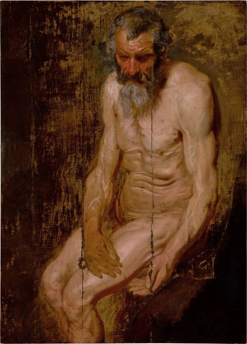 Heiliger Hieronymus - Antoine van Dyck