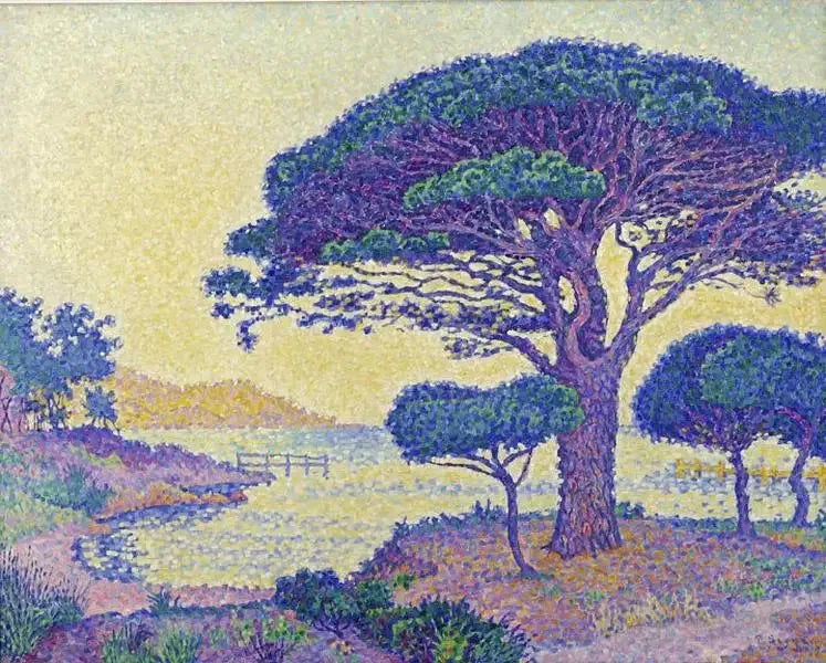 Saint-Tropez, die Pinien am Canoubiers - Paul Signac