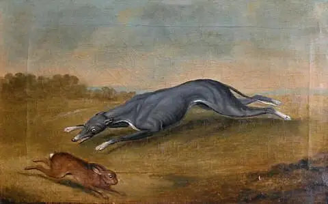 Ohne Titel (Hund jagt Hasen) - George Stubbs