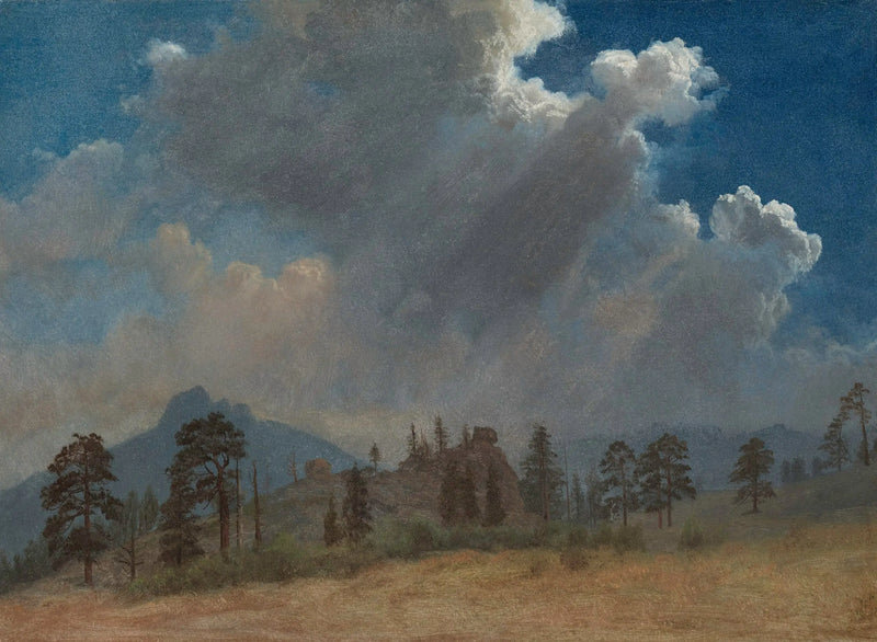Tannenbäume und Gewitterwolken - Albert Bierstadt