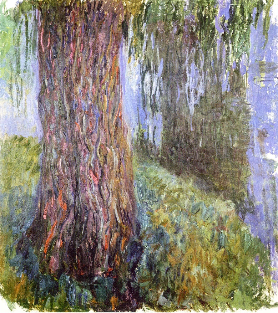 Trauerweide und Seerosenteich, Marmottan W1848 - Claude Monet