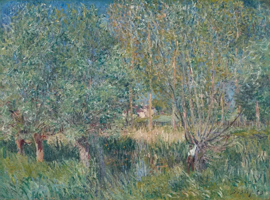 Weiden am Ufer der Orvanne - Alfred Sisley