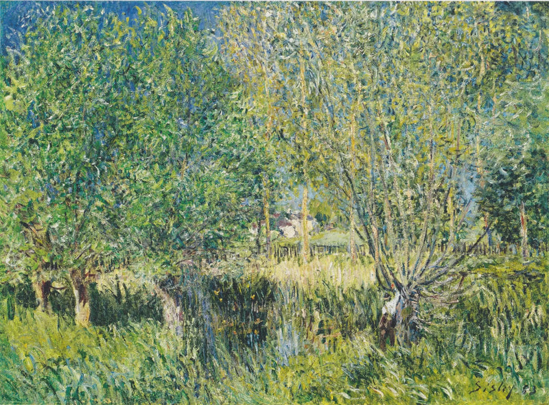 Weiden am Ufer der Orvanne - Alfred Sisley