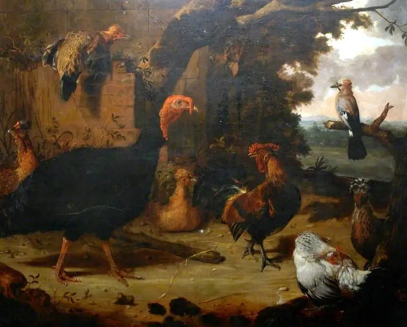 Bauernszene, die schwarze Truthahn - Melchior de Hondecoeter