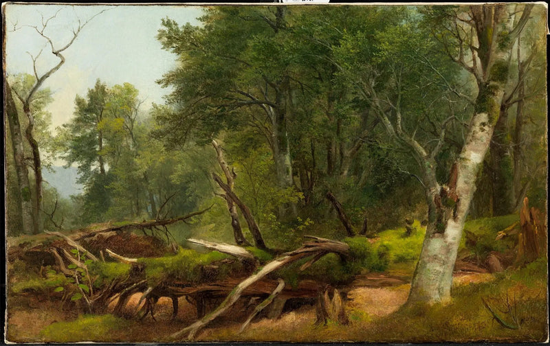 Waldszene in den Catskills - Asher Brown Durand