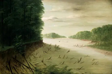 Szene des unteren Mississippi - George Catlin