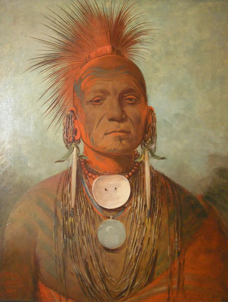 See-non-ty-a, un Heilkundiger aus Iowa - George Catlin