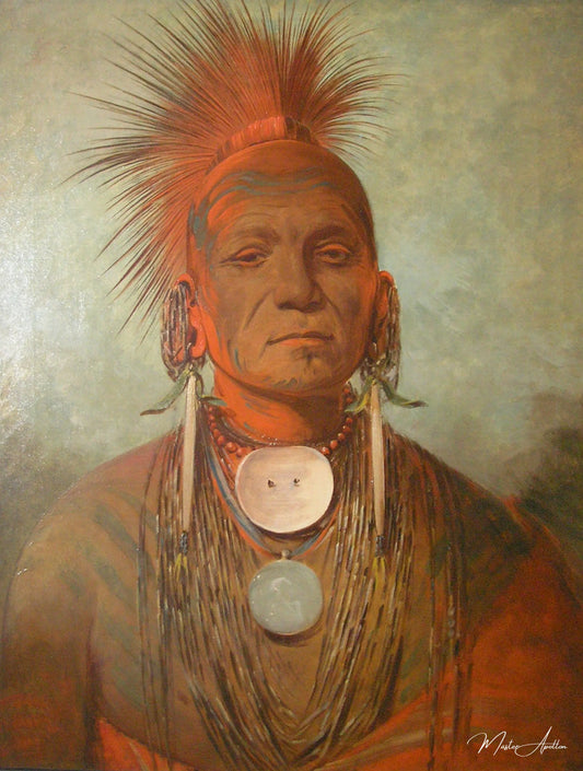 See-non-ty-a, an Iowa Medicine Man - George Catlin - Reproductions de tableaux et peintures haut de gamme