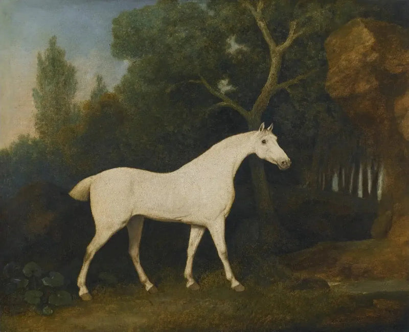 Selim, un grauer Jäger in einem Gehege - George Stubbs