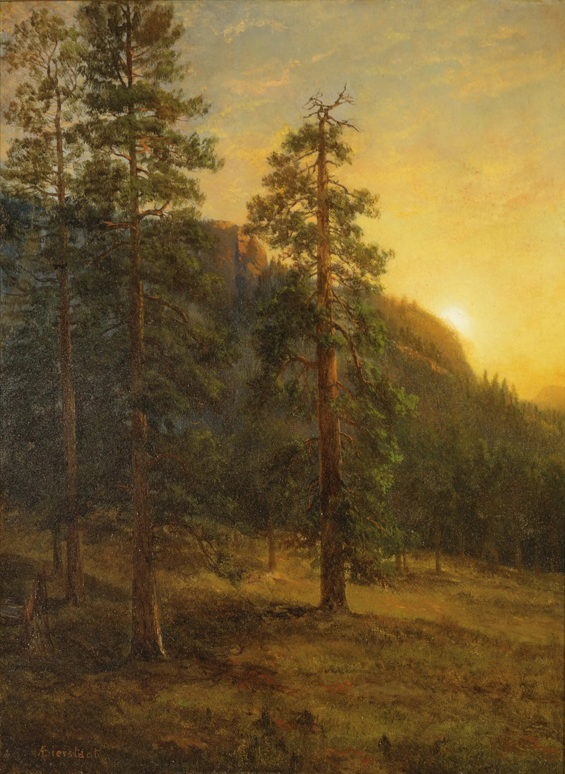 Sequoias de Californie - Albert Bierstadt